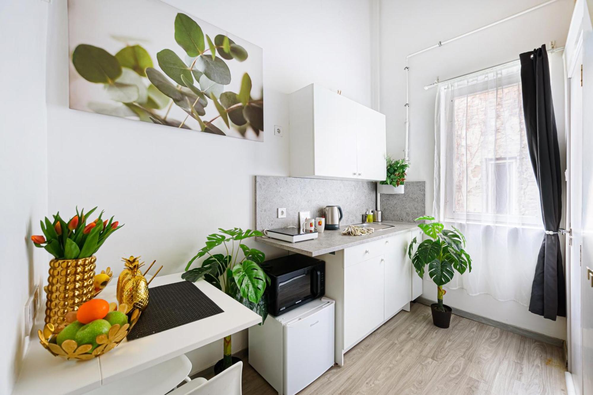 Apartament Flora Downtown Budapeszt